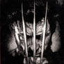 Wolverine Pencil Portrait