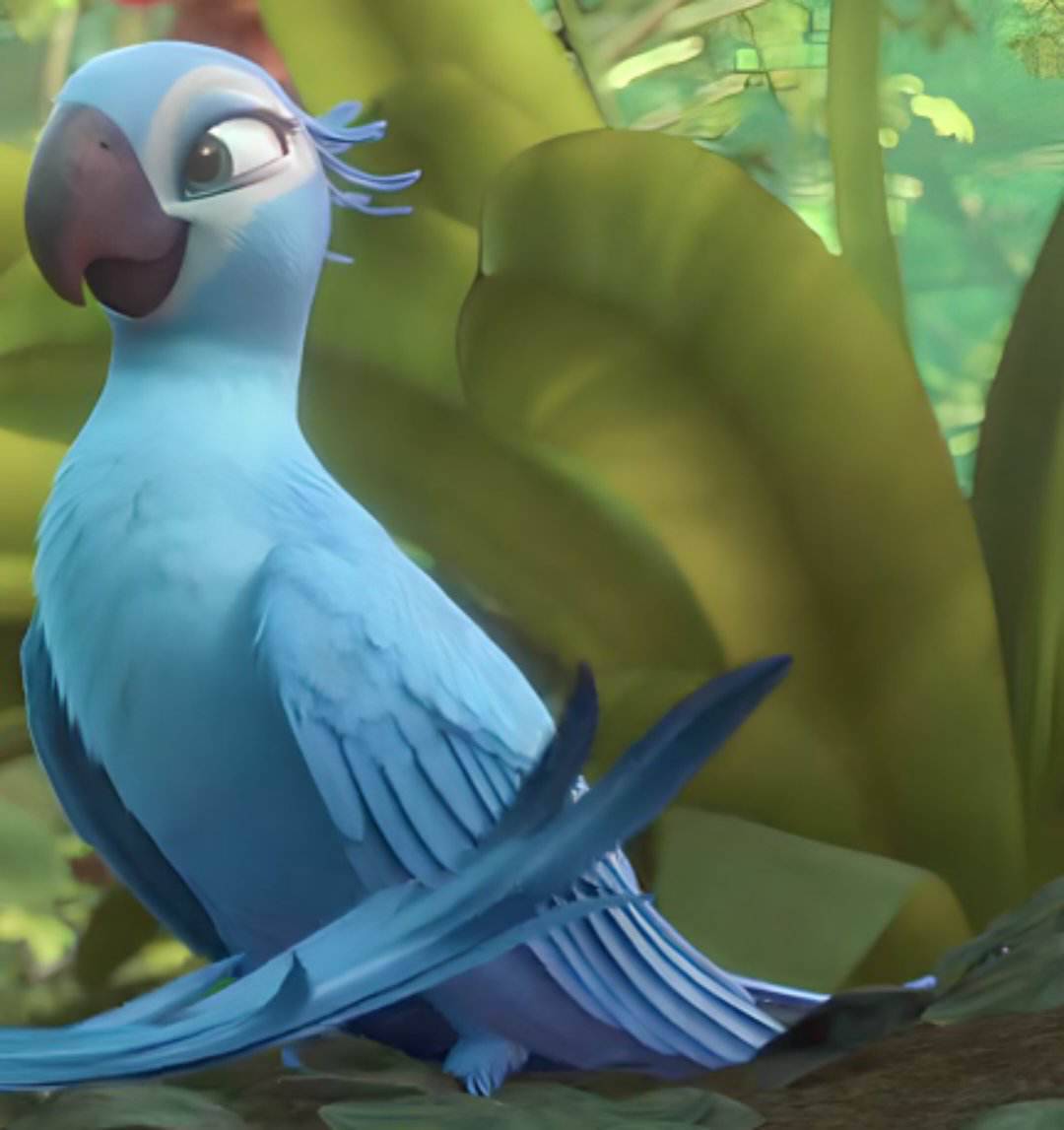 rio 2