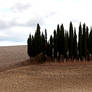 Pienza Panorama16