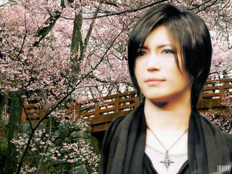 Gackt - Hanami