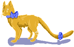 Yellow cat (request)