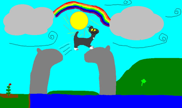 Deviantart Animal Jumping The Jump by Kitten1109 on DeviantArt