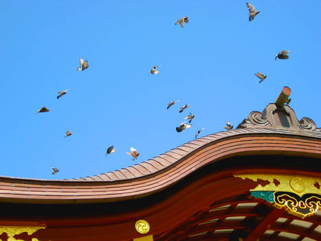 Birds and Temple