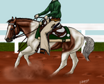 Dissy's Reining Debut by TimberLakeLaneEC