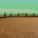 TLECs Main Outdoor Training Arena by TimberLakeLaneEC