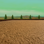 TLECs Main Outdoor Training Arena by TimberLakeLaneEC