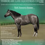 TLEC Sunnuva Snappe - Stallion Ad
