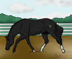 Sniffin Dirt by TimberLakeLaneEC