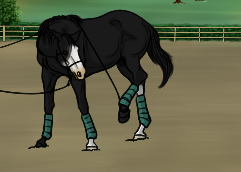 Boo - Foot Training - 3/10 Basic by TimberLakeLaneEC on DeviantArt