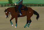 Bey - Training Show Entry by TimberLakeLaneEC
