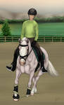 Jock - Training Dressage Entry by TimberLakeLaneEC