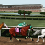 The Grueling Test of the Champion