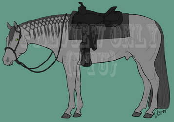 PTU: Pleasure Horse Tack Bundle