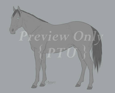 PTU: Running Bred Stock Horse