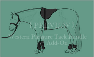 Western Pleasure Tack Bundle: Add On