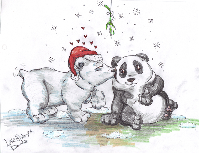 Merry Christmas Panda Bear