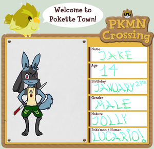 First step- PKMN Crossing Jake