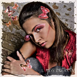 miss butterfly