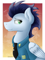 Commander Soarin by Spirit-Dude