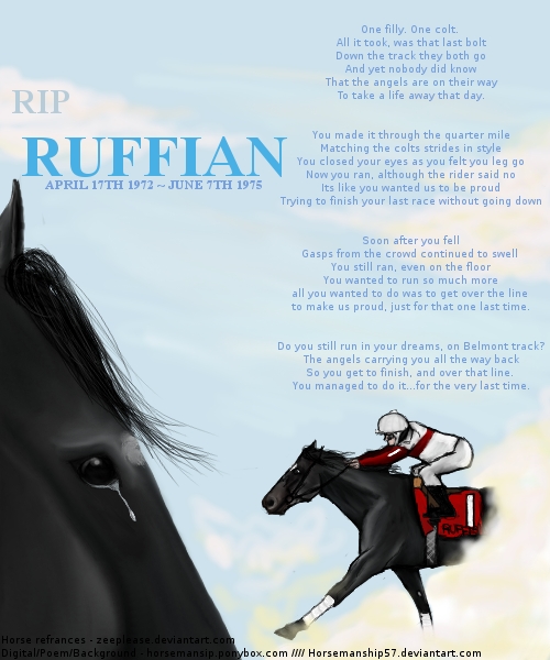 Rip Ruffian By Horsemanship57 On Deviantart