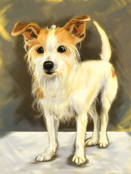 [COMM] Pet Portrait