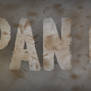 Pan