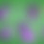 Poly 2.0 Demonstration