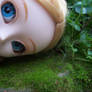 Pullip Alice and the moss bed