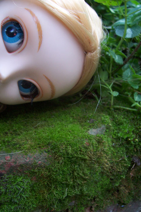 Pullip Alice and the moss bed