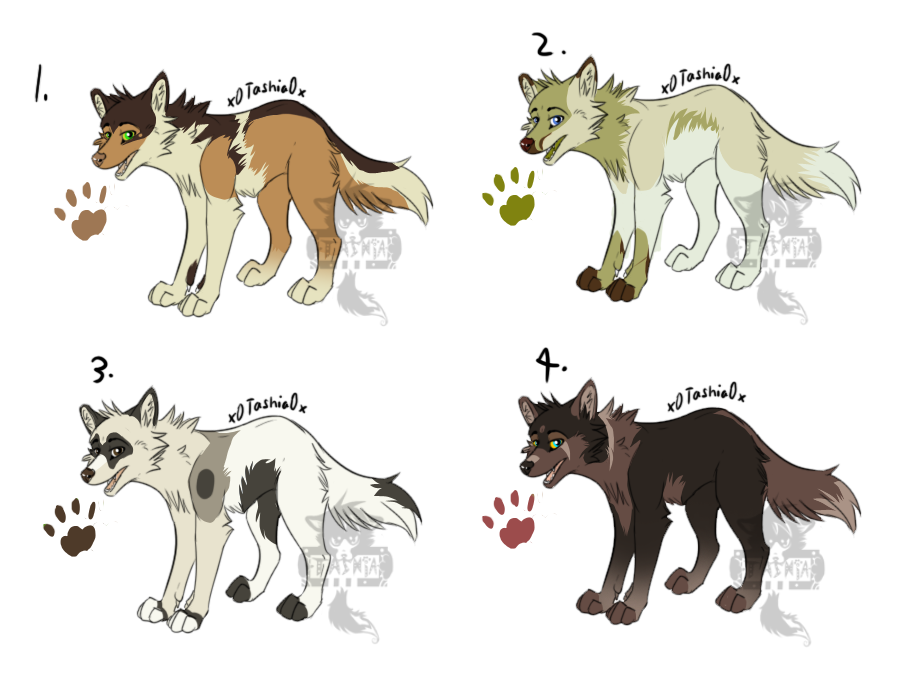 Canine Point Adoptables!