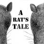 A Rat s Tale