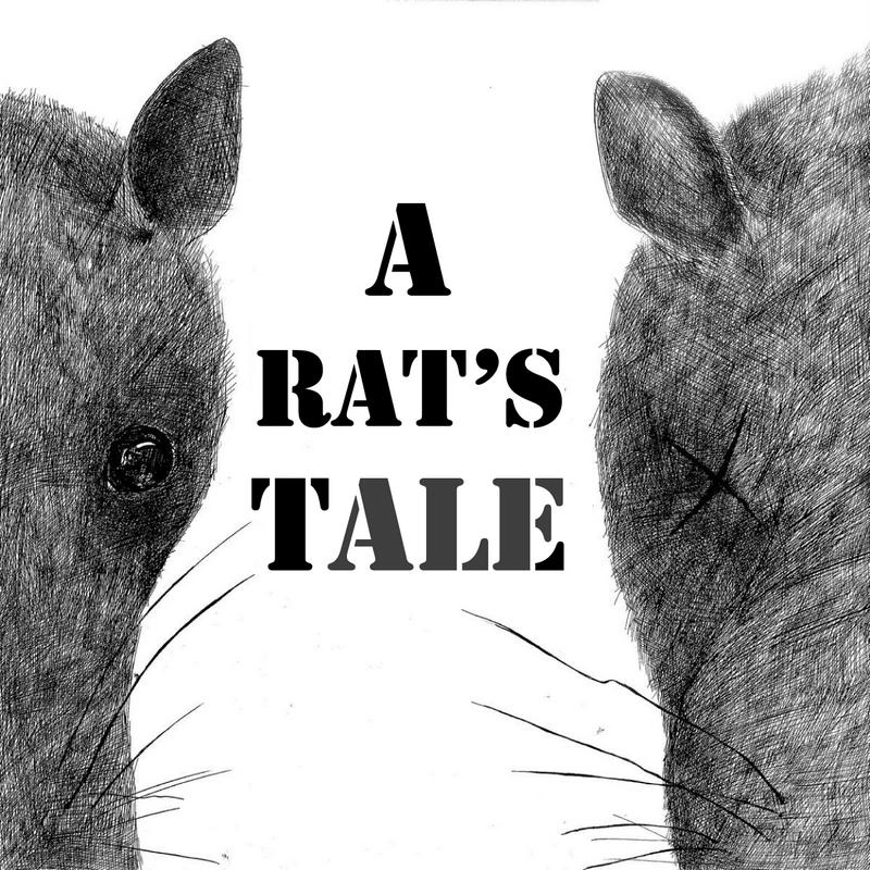 A Rat s Tale