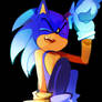 sonic and