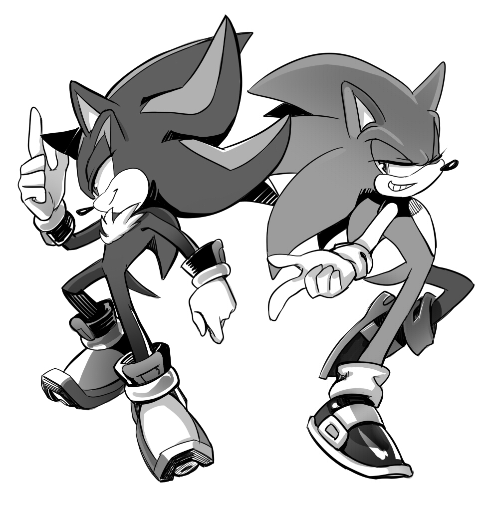 sonic shadow