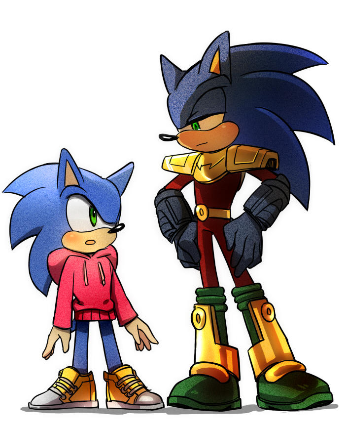 Zone Cop Zonic The Zone Cop by lujji on DeviantArt