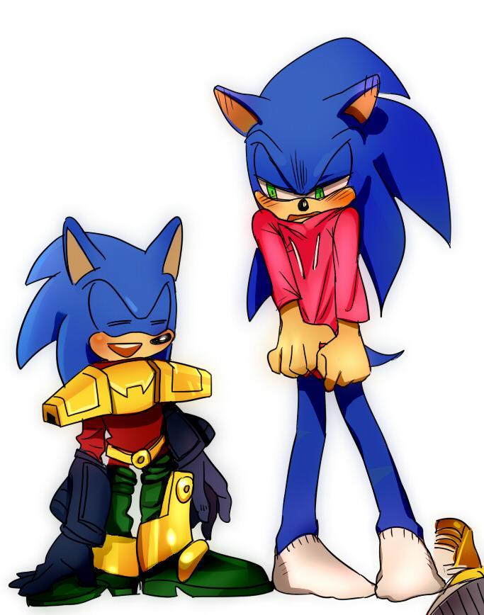 Zone Cop Zonic The Zone Cop by lujji on DeviantArt