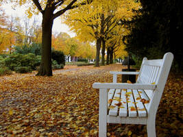 Alley in the Park