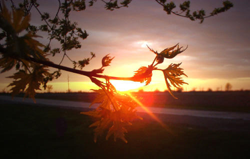 Lincoln Sunset