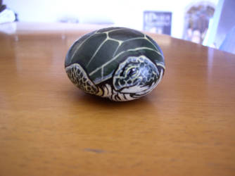 Turtle on a stone
