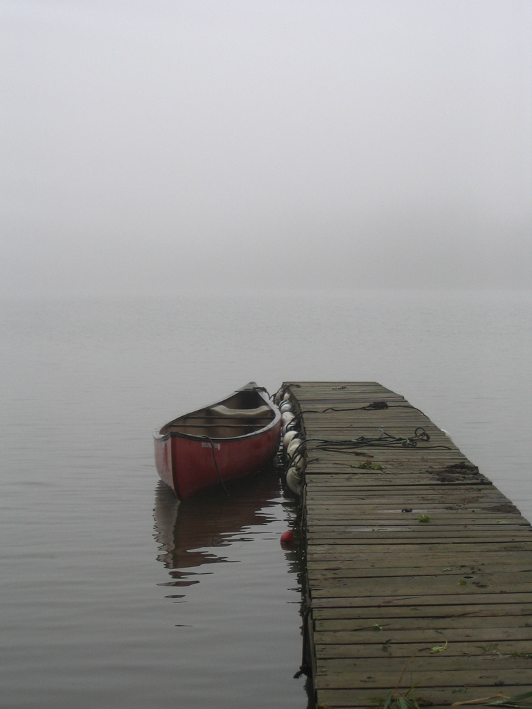 Docked in the Fog