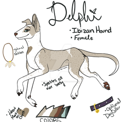 Delphi Ibizan hound reffullsize