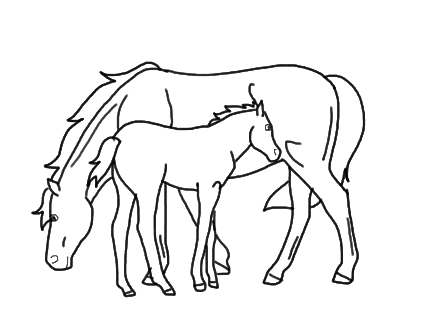 Mare and Foal Lineart