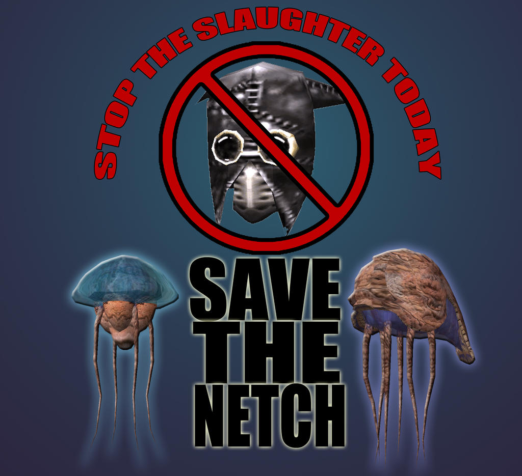 SAVE THE NETCH