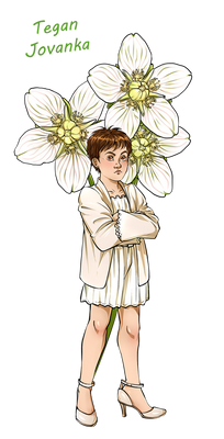 DW Flowers: Small Tegan