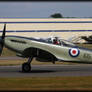 Seafire