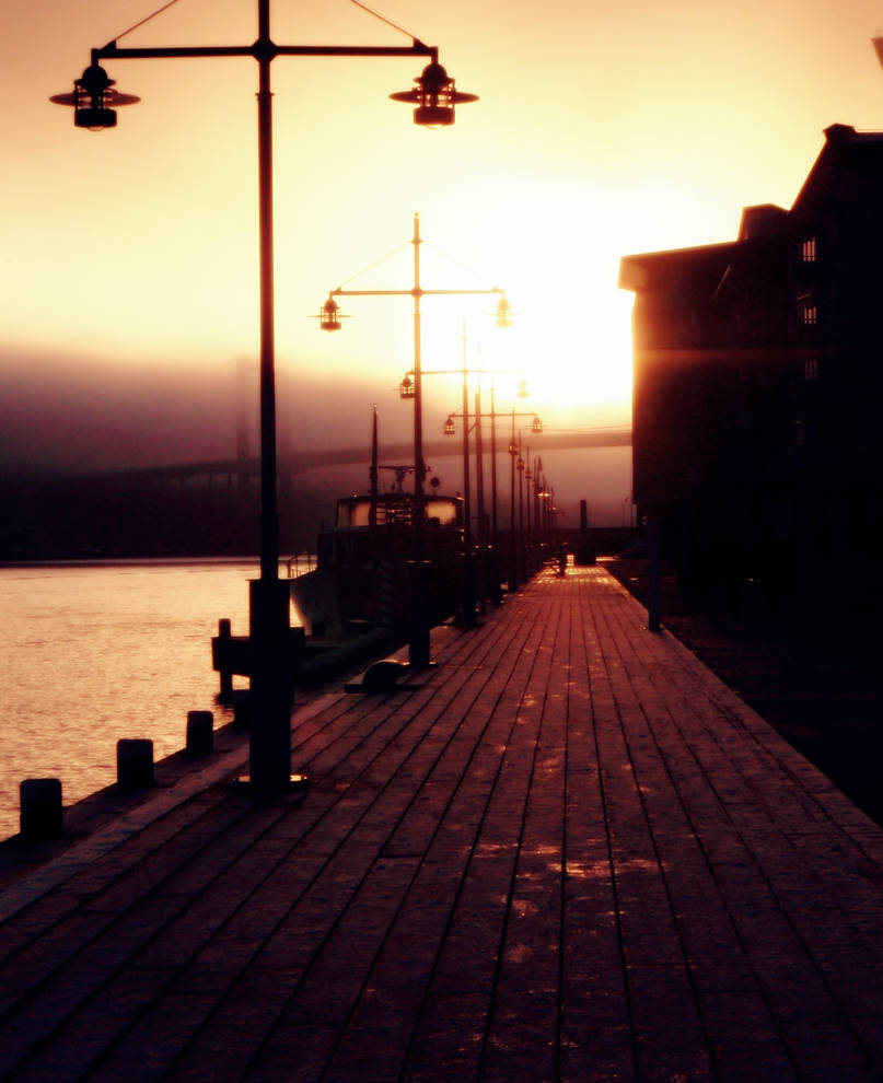 icy path by LittleBambird97 on DeviantArt