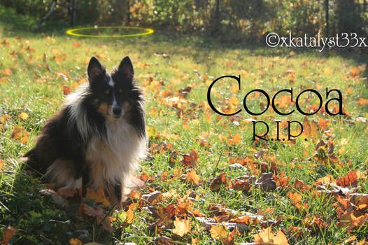 Cocoa RIP