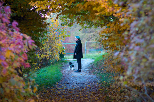 Autumnal Walk