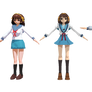 Which Haruhi WIP???