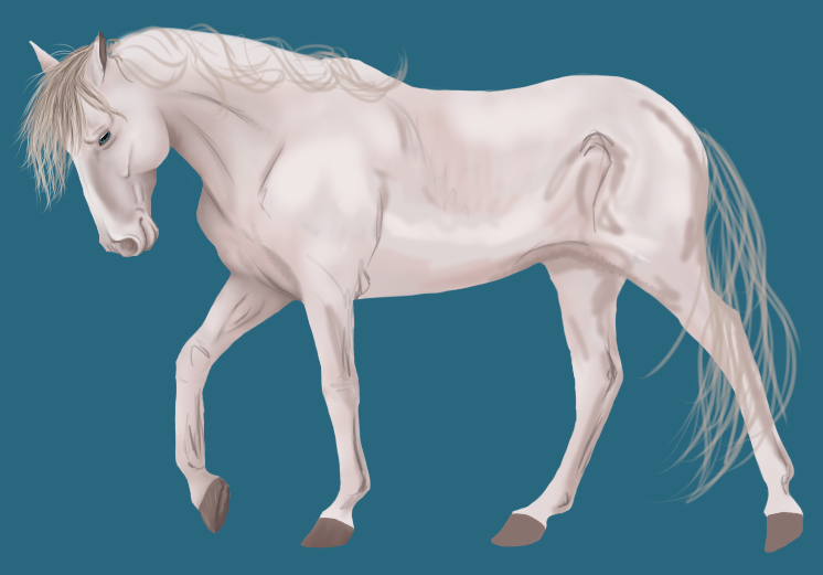 Palomino